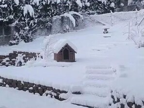 Imagem sem classificação, 5 de 8, botão