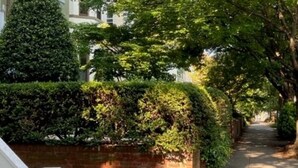 Een smal pad met bomen langs gebouwen.