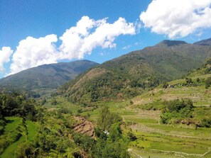 Ảnh chưa phân loại, 2 trong số 10 ảnh, nút