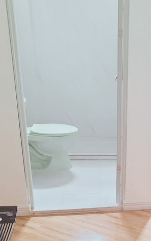 A room with a toilet, a wooden floor, and a white door.