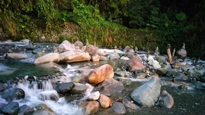 A stream with clear water flowing over rocks, surrounded by lush greenery. - Australian Hotel Hungduan (Hungduan)