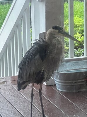 Imagen sin descripción, 5 de 14, botón