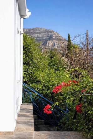 A staircase with a blue handrail leading to a white building, surrounded by greenery and a mountain in the background.