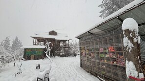 Miscellaneous - Woodstockvilla (Sosan)