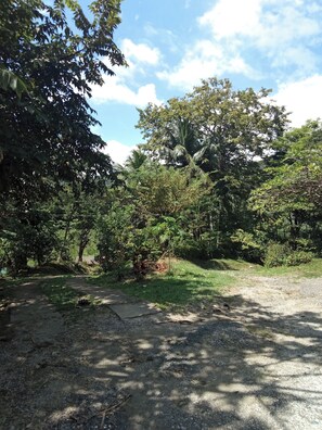 Nicht klassifiziertes Bild, 2 von 5, Schaltfläche