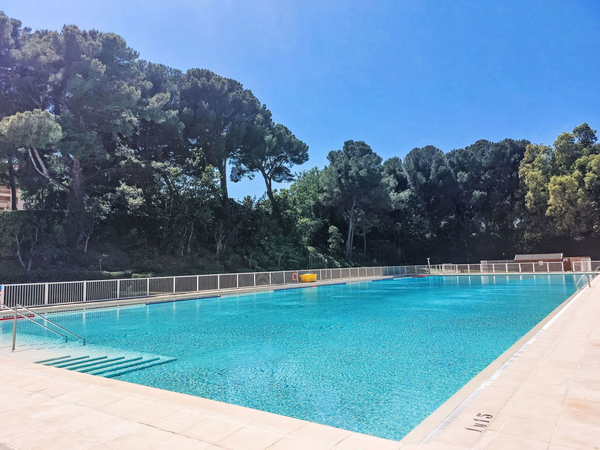 Et rektangulært swimmingpool omgivet af træer og en klar himmel, med et hvidt hegn.