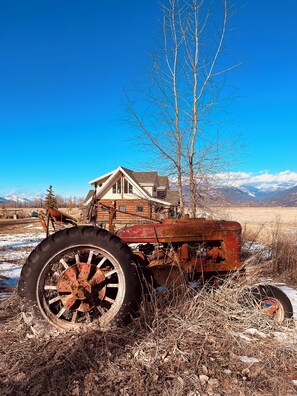 Immagine non classificata, 4 di 21, pulsante