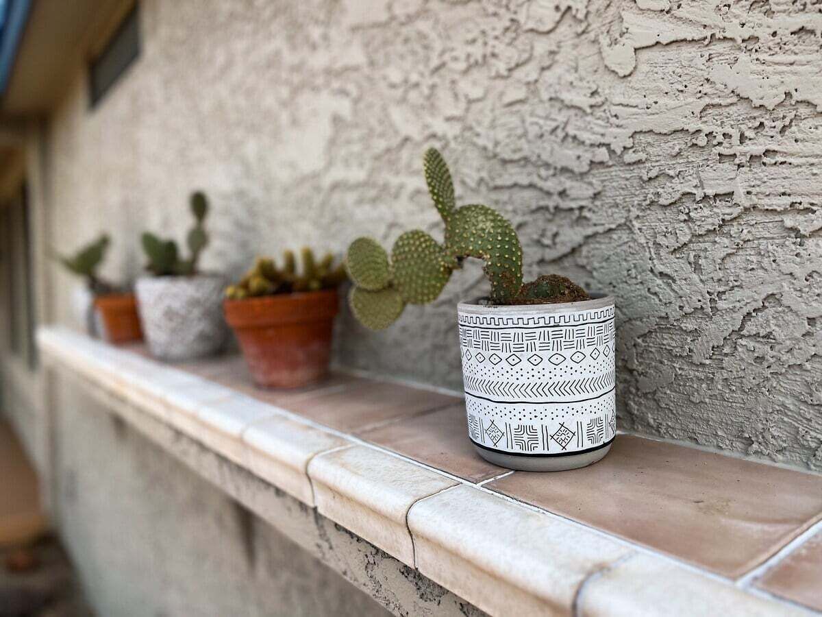 A row of potted cacti on a tiled ledge against a textured wall.
