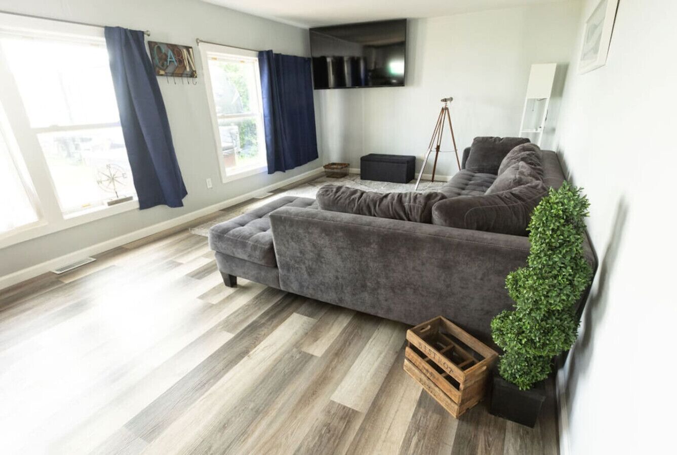 A modern living room with a sectional sofa, a flat-screen TV, and a potted plant.