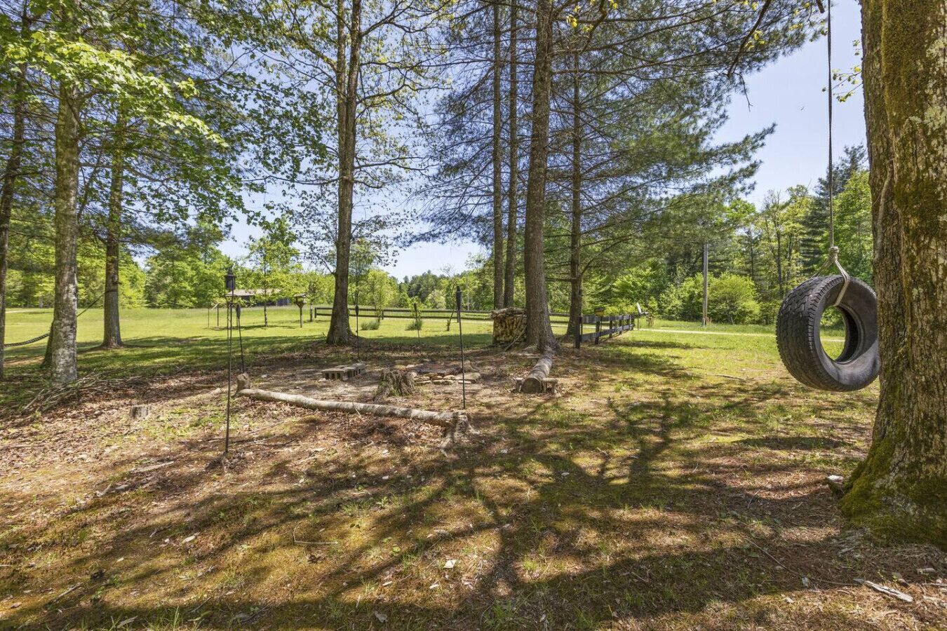 A forested area with a tire swing, wooden benches, and a clear sky.