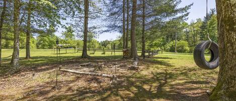 A forested area with a tire swing, wooden benches, and a clear sky.