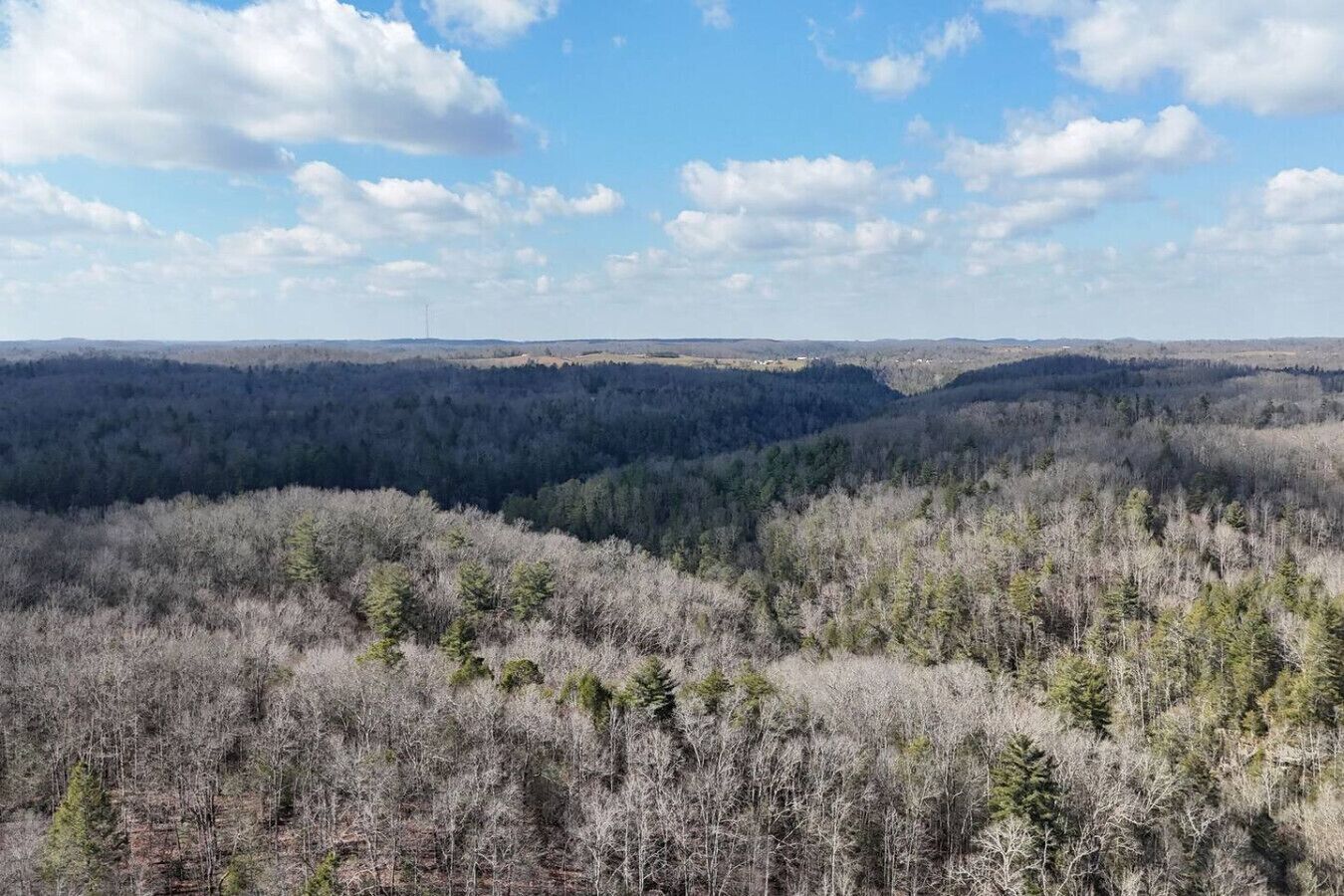 A panoramic view of a forested valley with a clear sky.