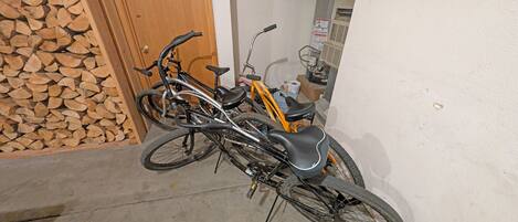 Two bicycles parked indoors, a wooden door, and a wall with a fire extinguisher.