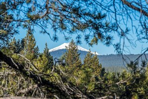 Une montagne dont le sommet est coiffé de neige, entourée d’une forêt dense.