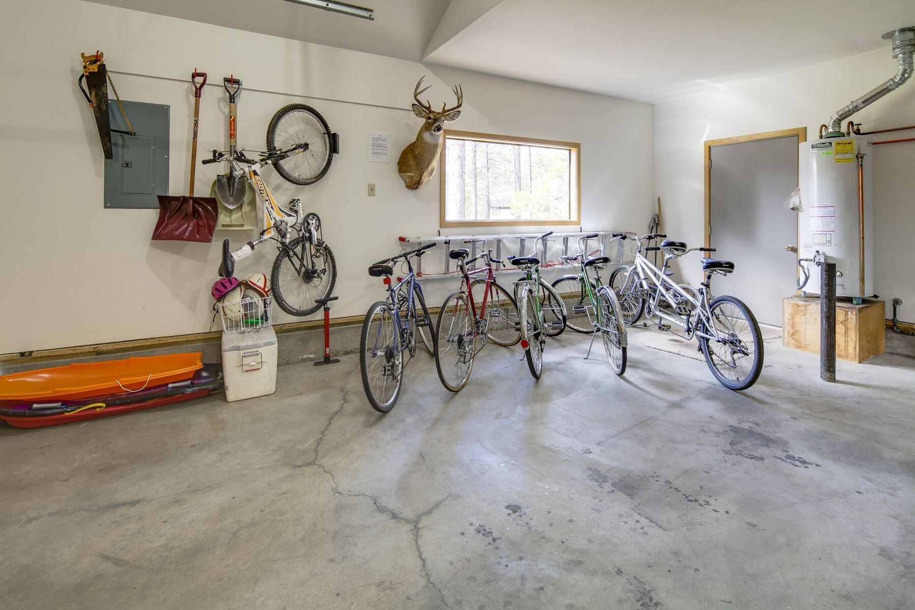 A garage with bicycles, a deer head, and a water heater.