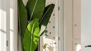 Un couloir avec une grande plante dans un panier tressé, un plancher en bois et une porte donnant sur une autre pièce.