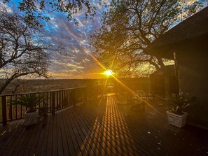 Terrace/patio - Mazuri Shamba Lodge (Phalaborwa)