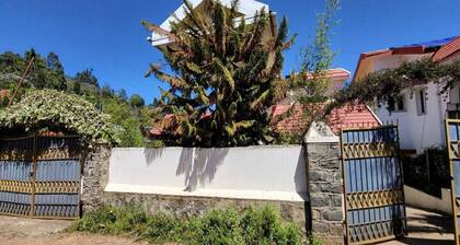 Collection O Kodaikanal Solar