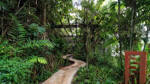 A stone pathway winding through dense tropical foliage, leading to a wooden bridge. - Kampung Kamboja (Siem Reap)