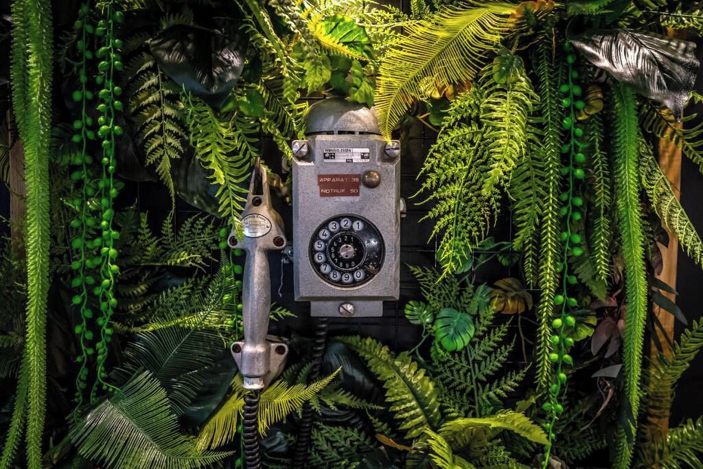 A vintage telephone surrounded by dense green foliage.