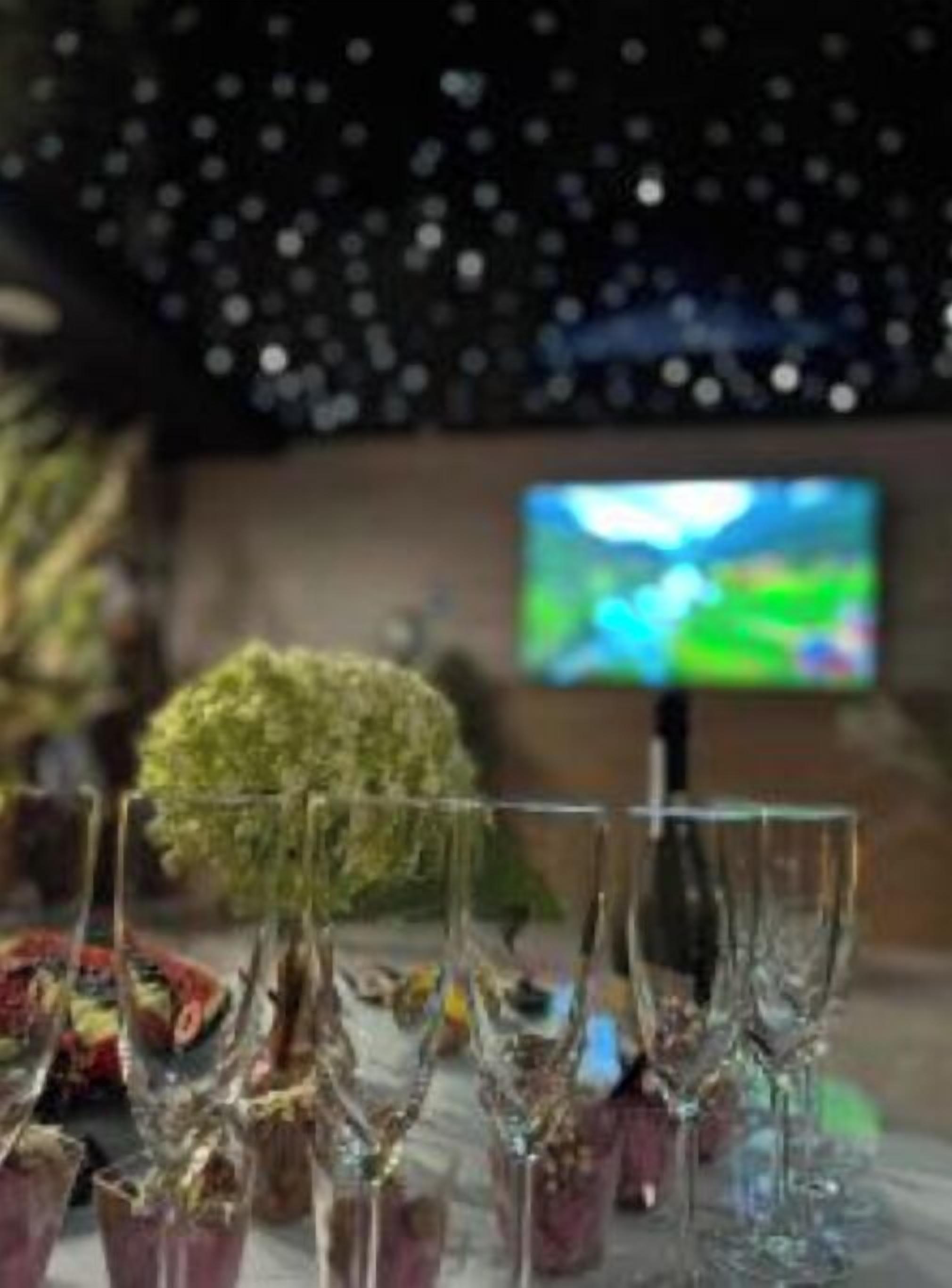 Ein Zimmer mit Fernseher, der eine Landschaft zeigt, einem kleinen Baum und mehreren leeren Gläsern auf einem Tisch.