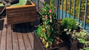 Une personne se détend sur une terrasse en bois, avec deux tours qui se dressent à l’arrière-plan.