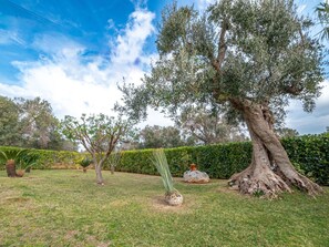 Property grounds - Paolos Trullo im Herzen der Landschaft by Interhome (Carovigno)