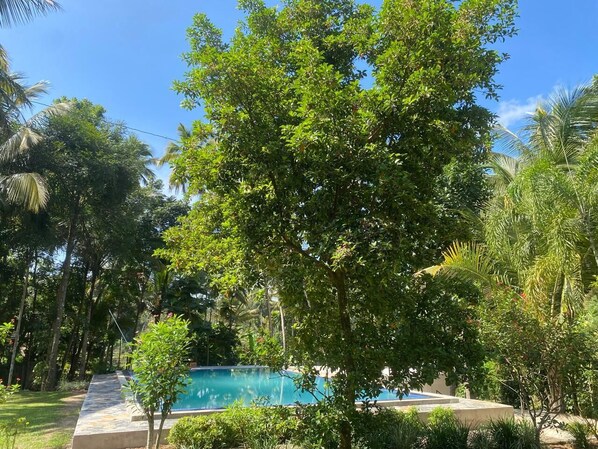 A swimming pool surrounded by lush greenery and palm trees. - Kudaarala Heritage (Kengalla)