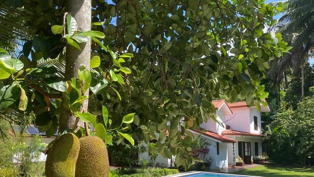 A swimming pool with a house in the background. - Kudaarala Heritage (Kengalla)