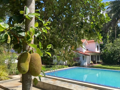 Kudaarala Heritage