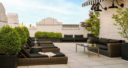 Nester Finn Financial District