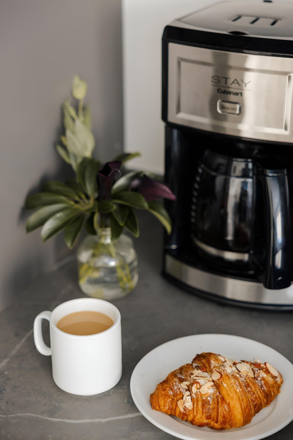 A coffee maker, a cup of coffee, a plate with a pastry, and a potted plant on a countertop.