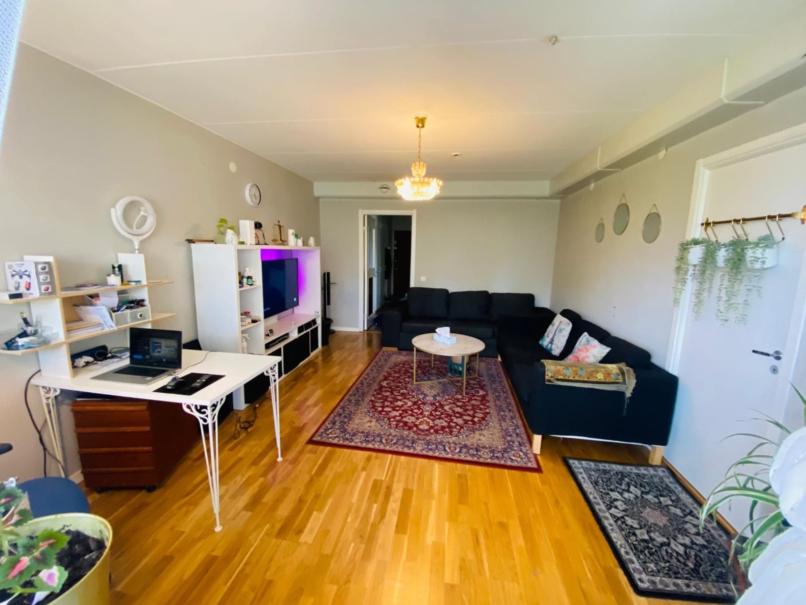 Ein Wohnzimmer mit Holzboden, einem schwarzen Sofa, einer weißen Unterhaltungsanlage und einem roten Teppich.