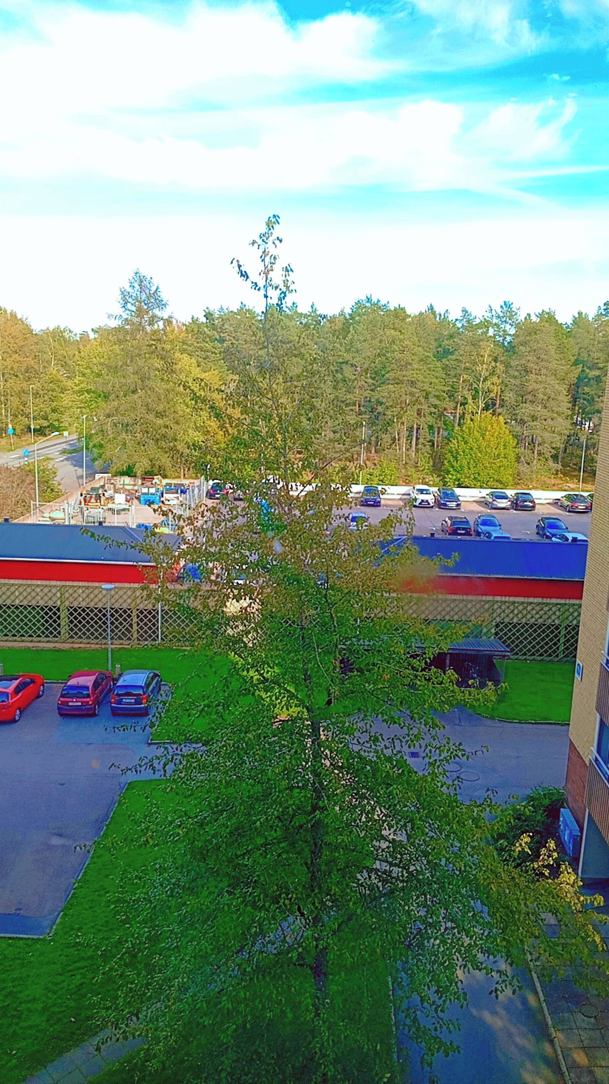 A parking lot with several cars, a building with a red roof, and a tree in the foreground.