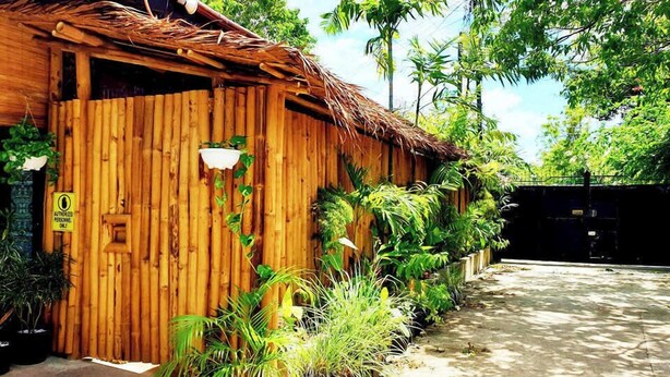 A wooden building with a thatched roof, surrounded by lush greenery. - MJs Garden Hotel Moalboal powered by Cocotel (Moalboal)