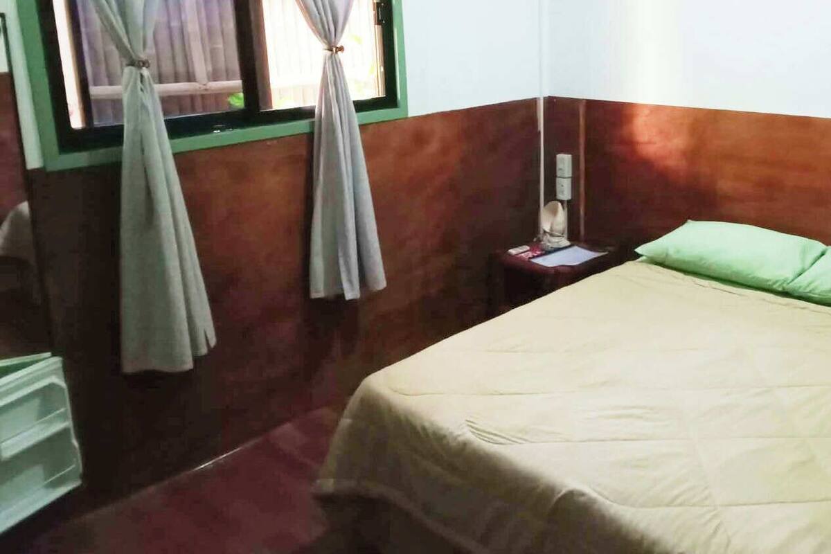 Ein Einzelbett mit einem grünen Kopfkissen, ein Nachttisch mit einer Lampe und ein Fenster mit Vorhängen.
