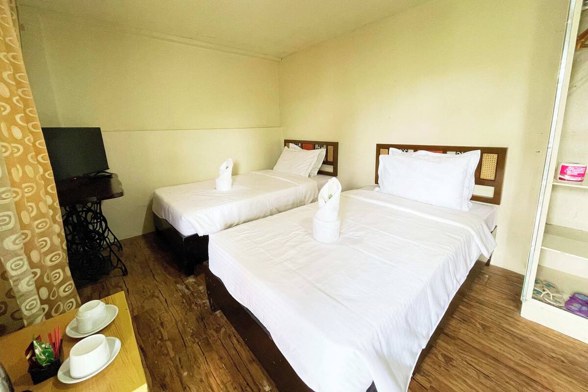 Habitación de hotel con dos camas, televisión y una mesita con tazas y una planta.