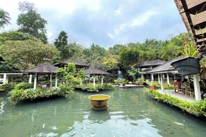 Un jardin paisible avec un étang, entouré de constructions en bois et d’une végétation luxuriante.