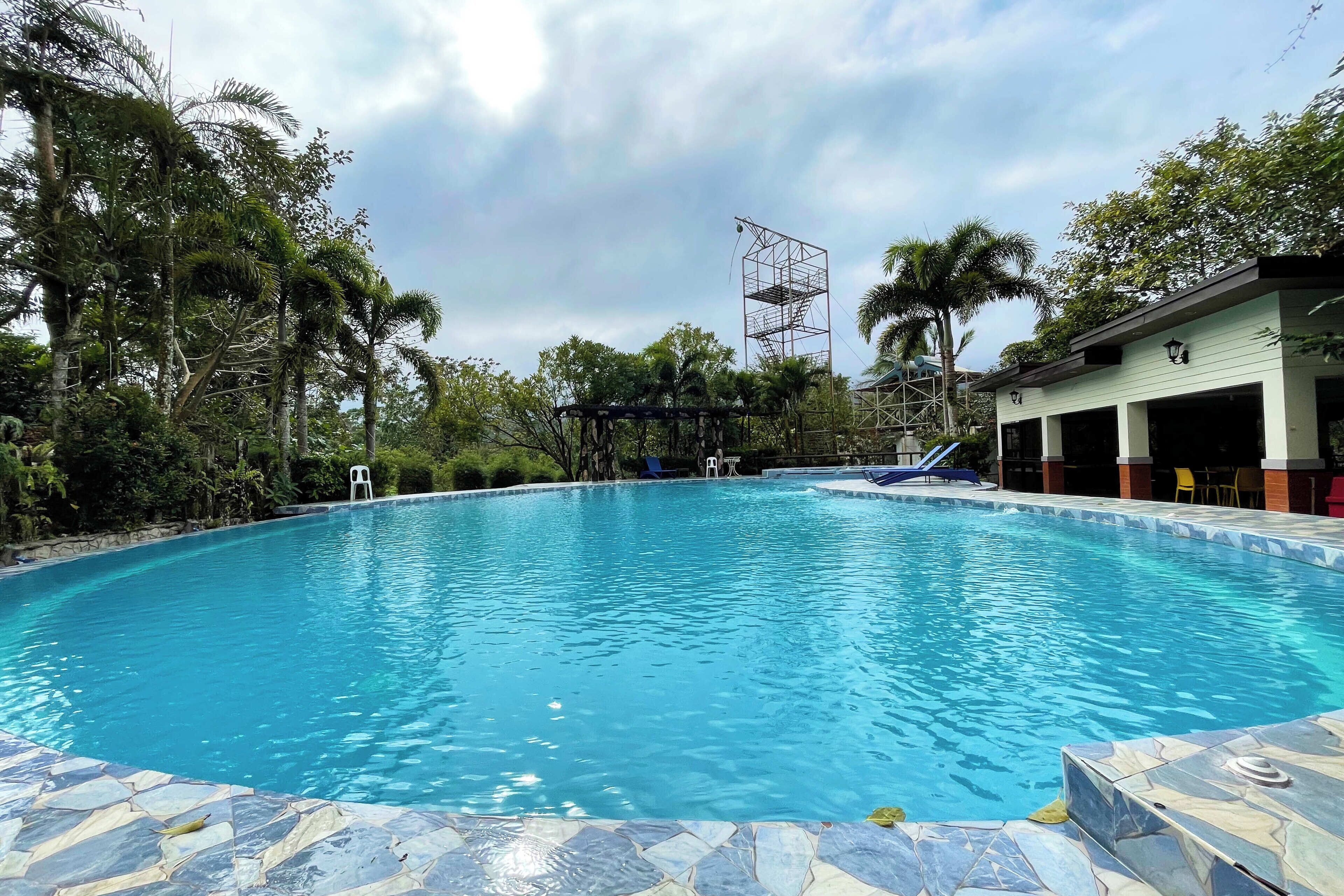 A swimming pool with a stone border, surrounded by greenery and a building with a covered area.