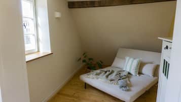 TV, fireplace, table tennis