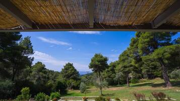 Junior Suite, Sea View | Property grounds