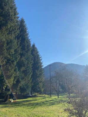 Imagen sin descripción, 3 de 10, botón