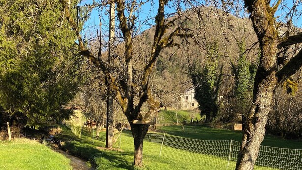 A clear path through a grassy area with trees and a fence. - Apartment in the heart of the Dessoubre valley (Battenans-Varin)