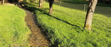 Enceinte de lâhĂ©bergement