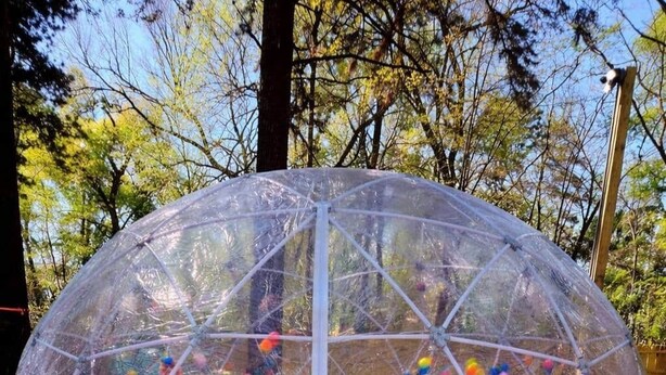 Une structure en forme de dôme transparent abrite une piscine à balles, et est entourée d’un sol rose et d’arbres en arrière-plan.