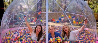 Girls Just Wanna Have Fun
