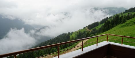 Suite familiale, vue sur le lac | Balcon