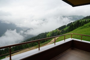Suite familiar, vistas al lago | Balcón