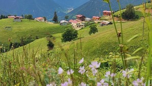 Un paysage rural avec des champs verdoyants, quelques maisons dispersées et des montagnes en arrière-plan.