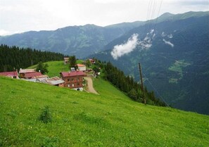 Exterior - GUMUL PANSİYON (Trabzon)